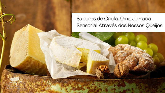 Sabores de Oriola: Uma Jornada Sensorial Através dos Nossos Queijos
